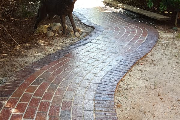 Concrete walkway with a fresh coat of sealer.