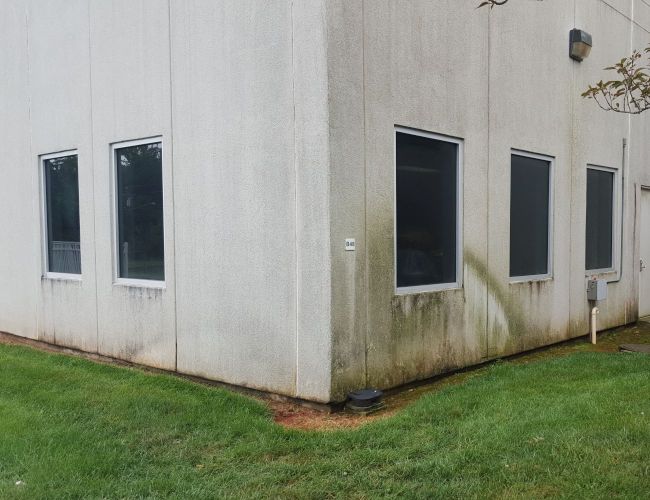 Algae growing on a commercial building before pressure washing services