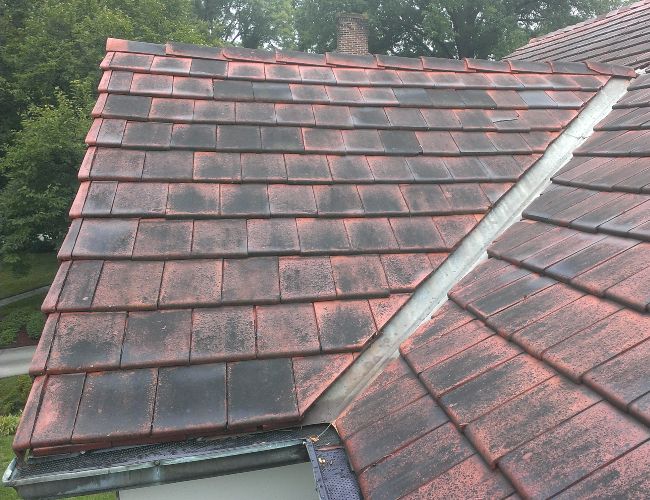 Remove Stubborn Stains from Roof Tiles
