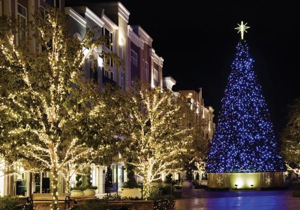 Commercial Christmas Big Tree